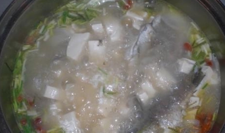 野生鯽魚蘿蔔豆腐湯