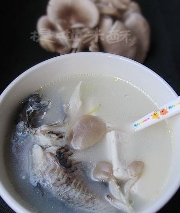 奶白色營養湯鯽魚蘑菇湯