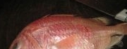 紅燒紅鯛魚
