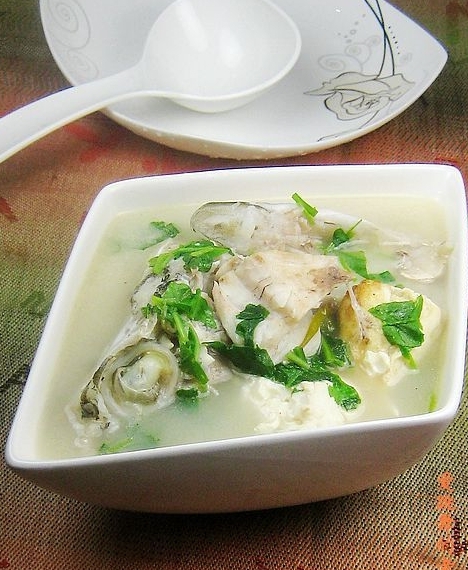 海鱸魚頭豆腐湯