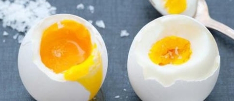 科學家成功將熟雞蛋變生雞蛋有望治療法癌症