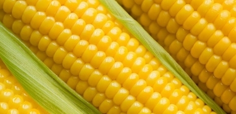 玉米的各種西式吃法