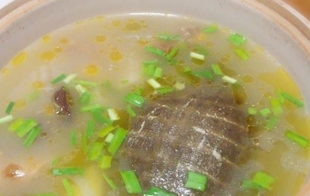 甲魚清湯