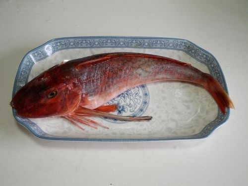 清燉紅娘魚