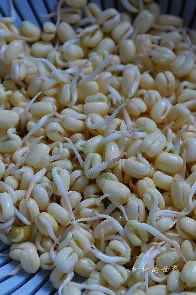 發芽豆子糙米飯