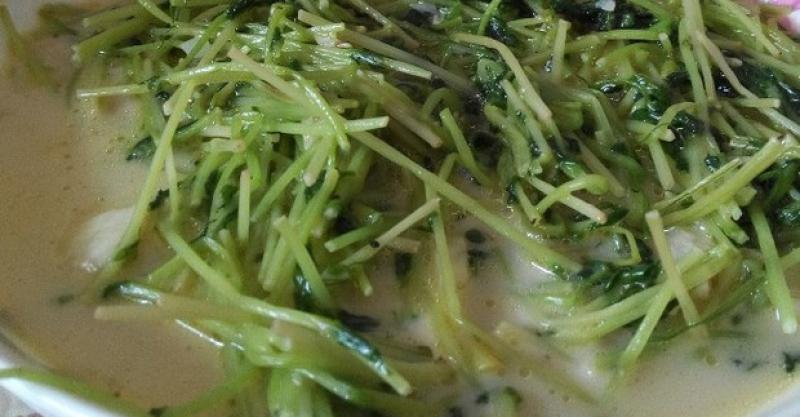 豌豆苗瑤柱鮮蝦湯
