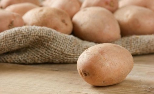 土豆到底是減肥還是增肥？答案在這裡！