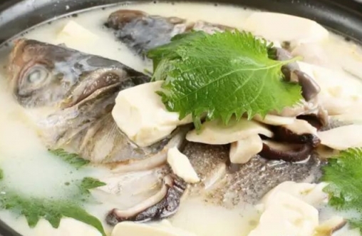 燉魚湯時不要直接加水燉，多加這一步，魚湯又白又鮮還不腥