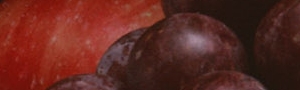 青木瓜燉排骨電鍋