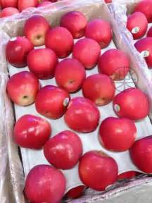 三天蘋果餐能減幾公斤