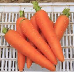 維生素ce和β胡蘿蔔素