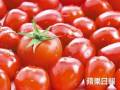 吃番茄美白嗎