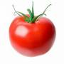 聖女番茄可以減肥嗎