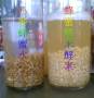 糙米酵素 diy