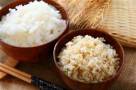 糙米飯熱量 白米