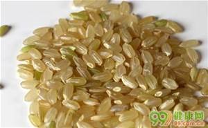 胚芽糙米飯的好處