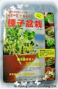 芥藍菜栽培方法