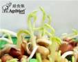豌豆種植方法