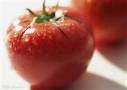 吃蕃茄的好處是什麼