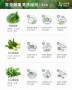 青花椰菜種植方法