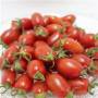 聖女番茄栽種