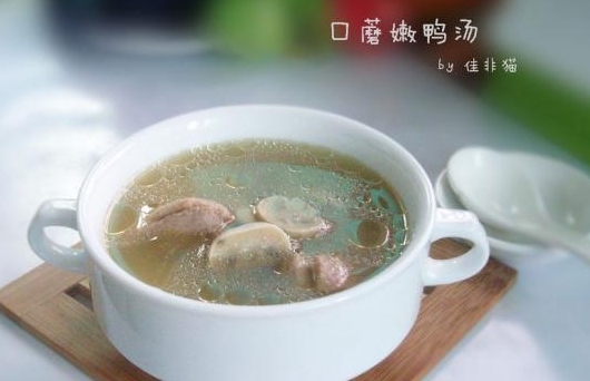 口蘑嫩鴨湯