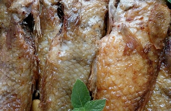 香煎鸚鵡魚