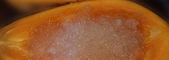 木瓜冰糖燉燕窩