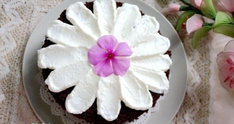 純情的可可海綿蛋糕
