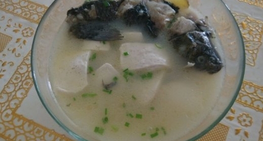 營養鯽魚豆腐湯