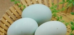 生鴨蛋怎麼做好吃