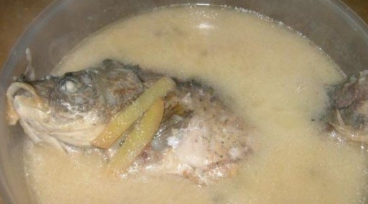 椰漿鯽魚湯