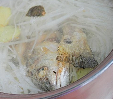 海鱸魚蘿蔔絲湯