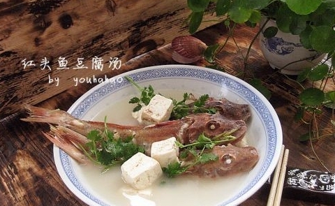 紅頭魚豆腐湯