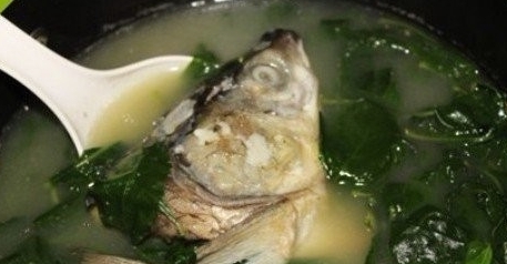 魚頭枸杞葉湯