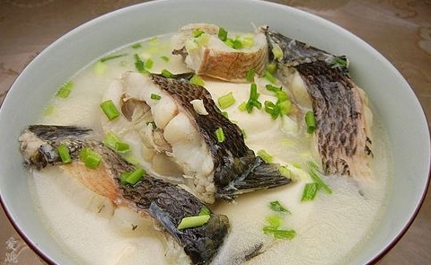 豆腐黑魚湯