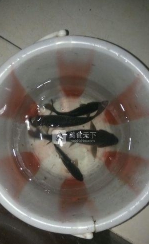 青椒燜魚
