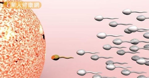 受孕最佳方法提高精子卵子質量UP是關鍵
