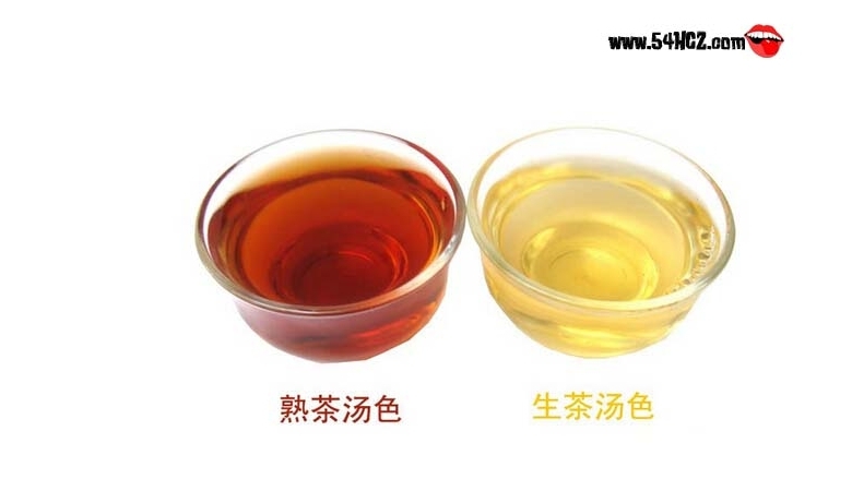 普洱生茶和熟茶的區別_普洱生茶和熟茶哪個好?