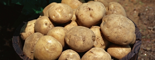 土豆怎麼吃最營養