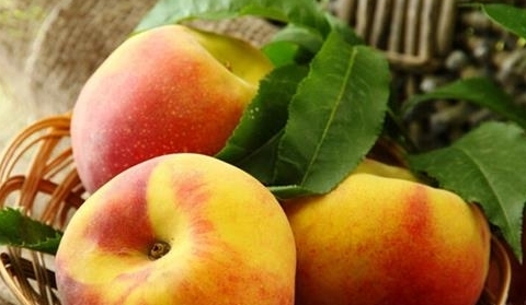 吃桃子過敏怎麼辦