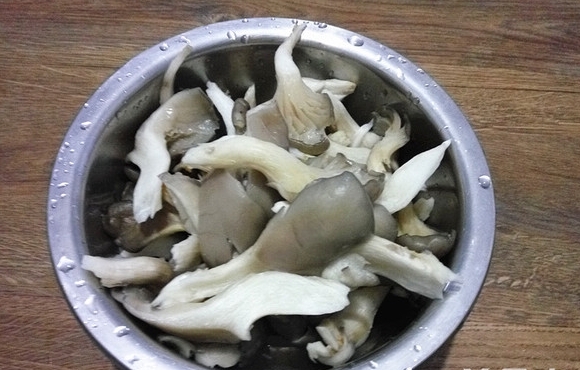 咖喱蘑菇飯