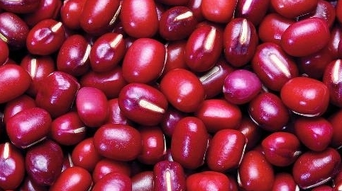 赤小豆和紅豆有什麼區別