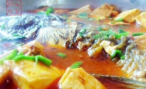 米芽版魚頭燉豆腐