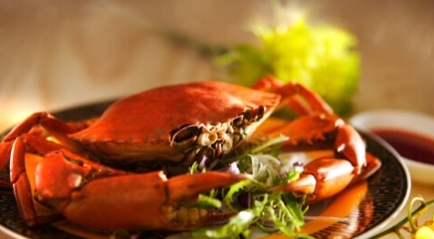 黃油蟹的營養價值