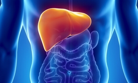 人體最大排毒器官竟是它，7個鍛煉肝經法