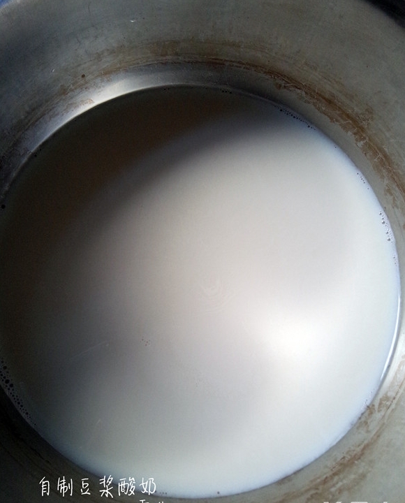自製豆漿酸奶