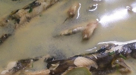 濃香昂刺魚湯