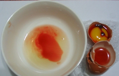 雞蛋里有血能吃嗎?營養不受影響但最好別吃