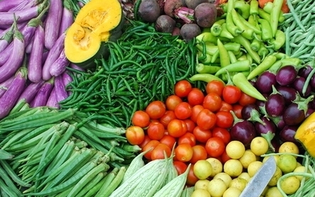 蔬菜怎麼吃看「色」吃菜學問大
